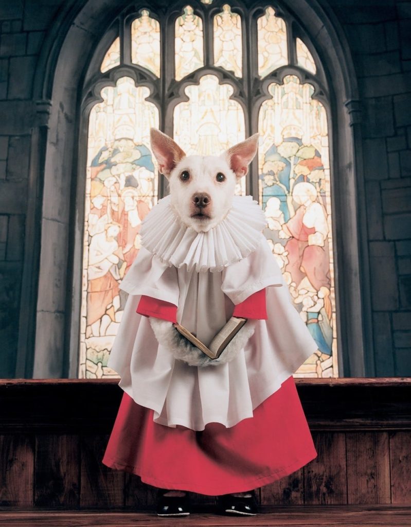 elefantegrafico-mascota